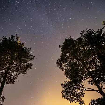 Rafi - The Village Of Silence Resort, Aurora 2 Hotel 5*